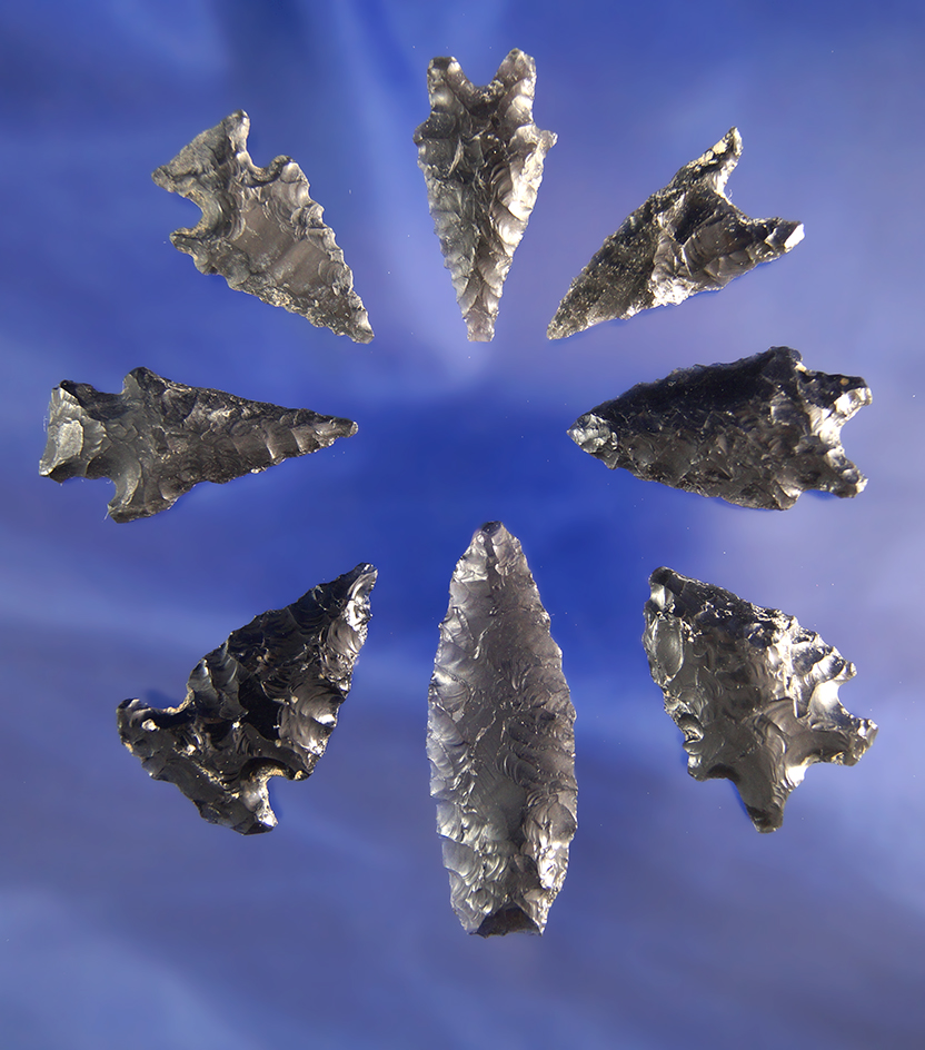 Group of eight Obsidian artifacts found near Fort Rock Oregon, largest is 1 7/8".