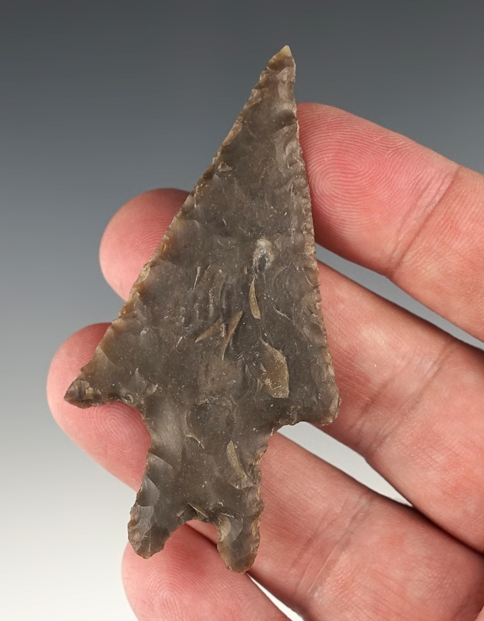 2 7/8" Texas Pedernales in good condition.