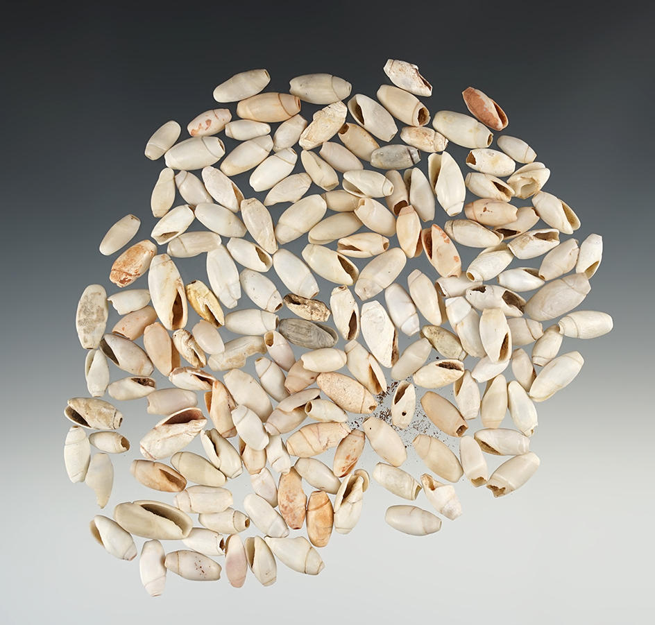 Large group of New Mexico Shell Beads in excellent condition.