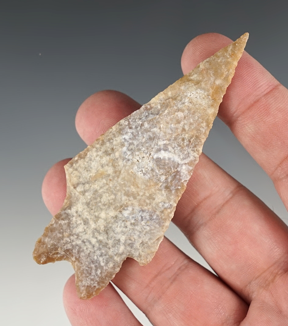 Fine 3 5/16" Pedernales found in Schiecher Co., Texas. Comes with a Davis COA.