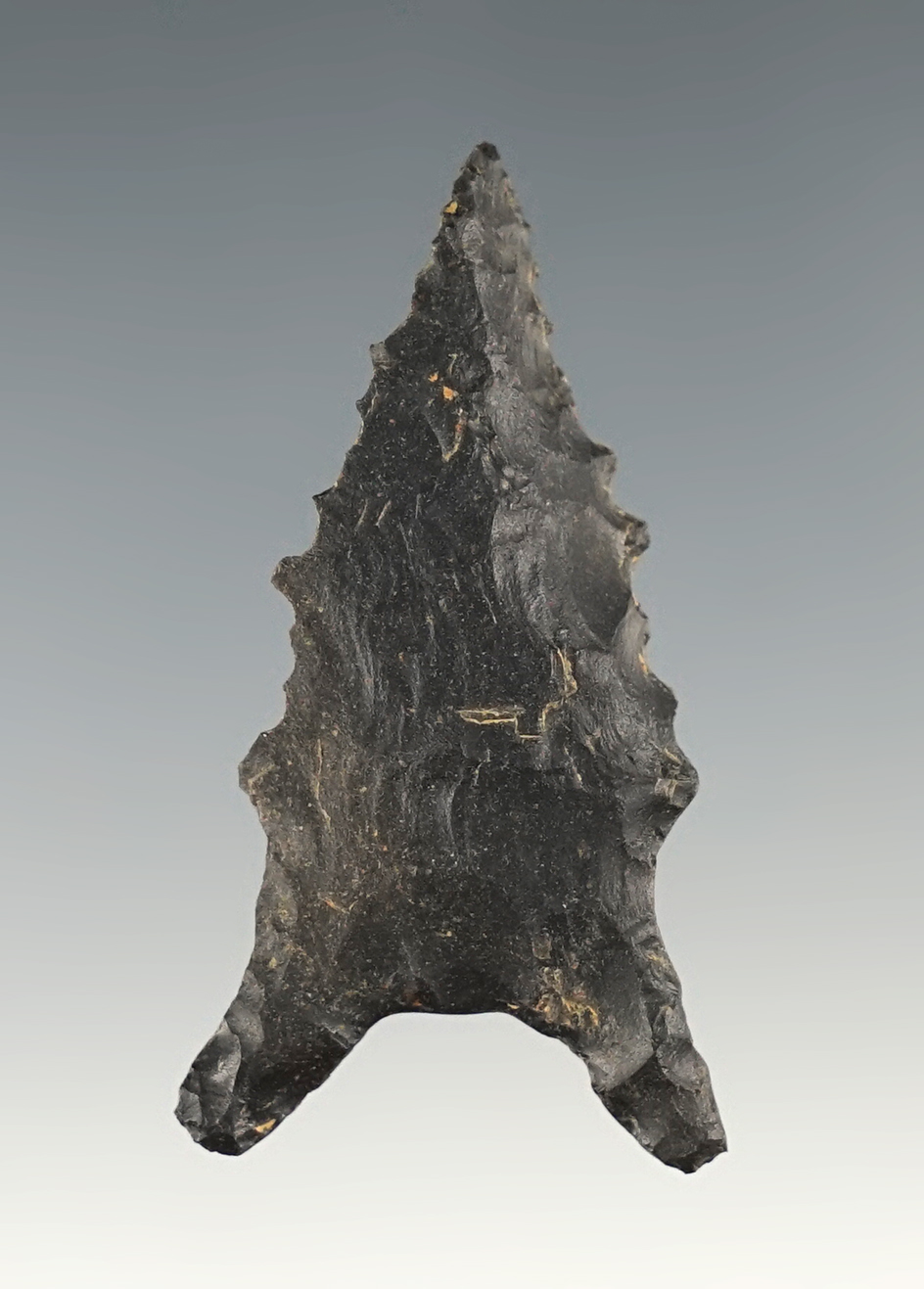 Beveled and serrated 1 7/8" Dalton found in Arkansas.