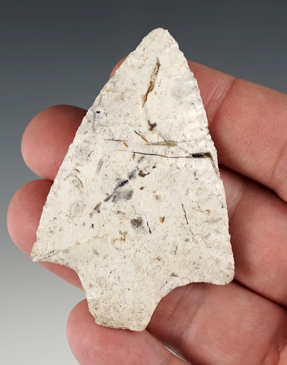 Thin and well made 2 11/16" Levy found in Florida.