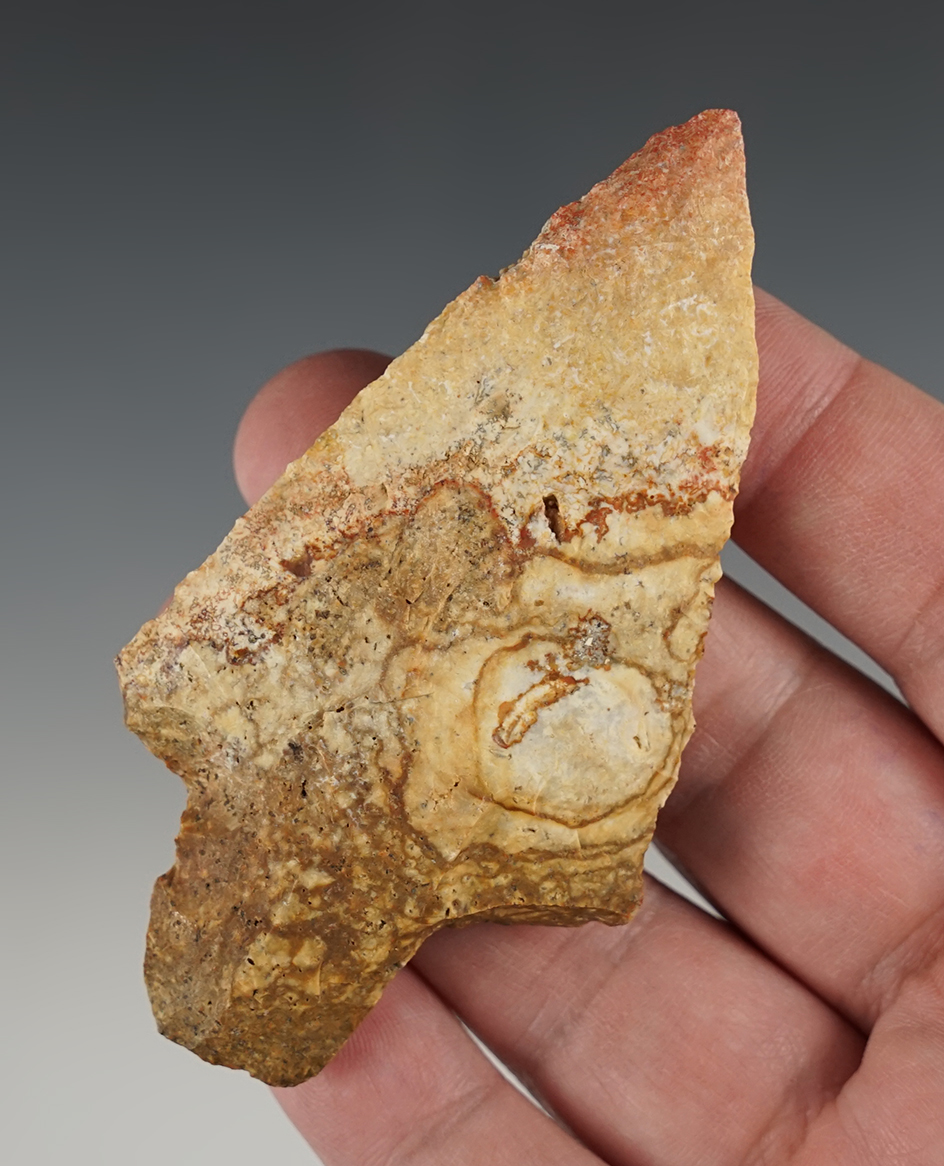 Highly colorful 3 1/2" Stemmed Point found near Albany, Georgia.