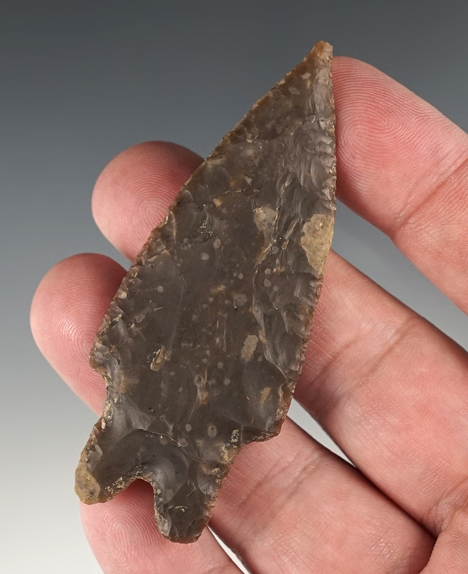 Finely made 2 15/16" Pedernales found in Bandera Co., Texas. Ex. Bill Arnold. Rogers COA.