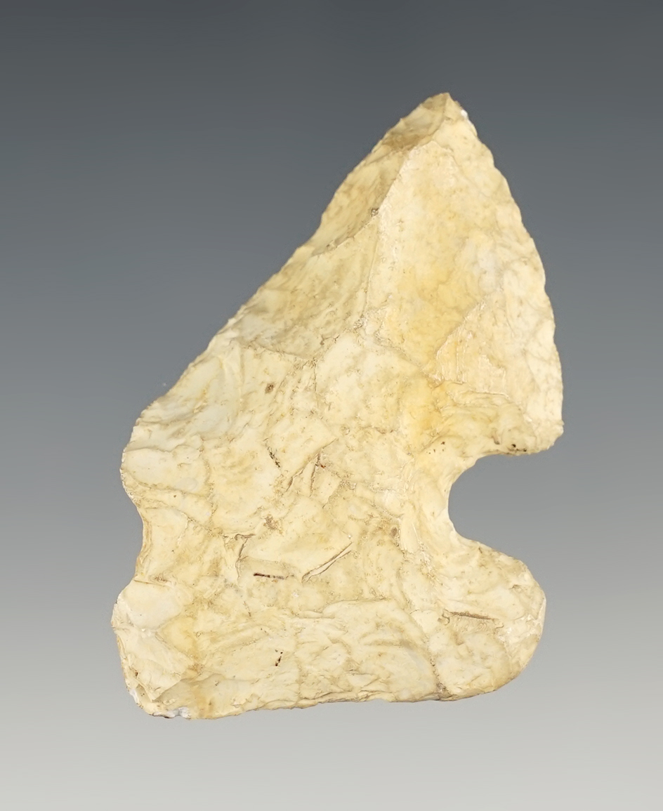 Classic 2 1/4" Edgefield Scraper found in Burke Co., Georgia. Rare artifact type.