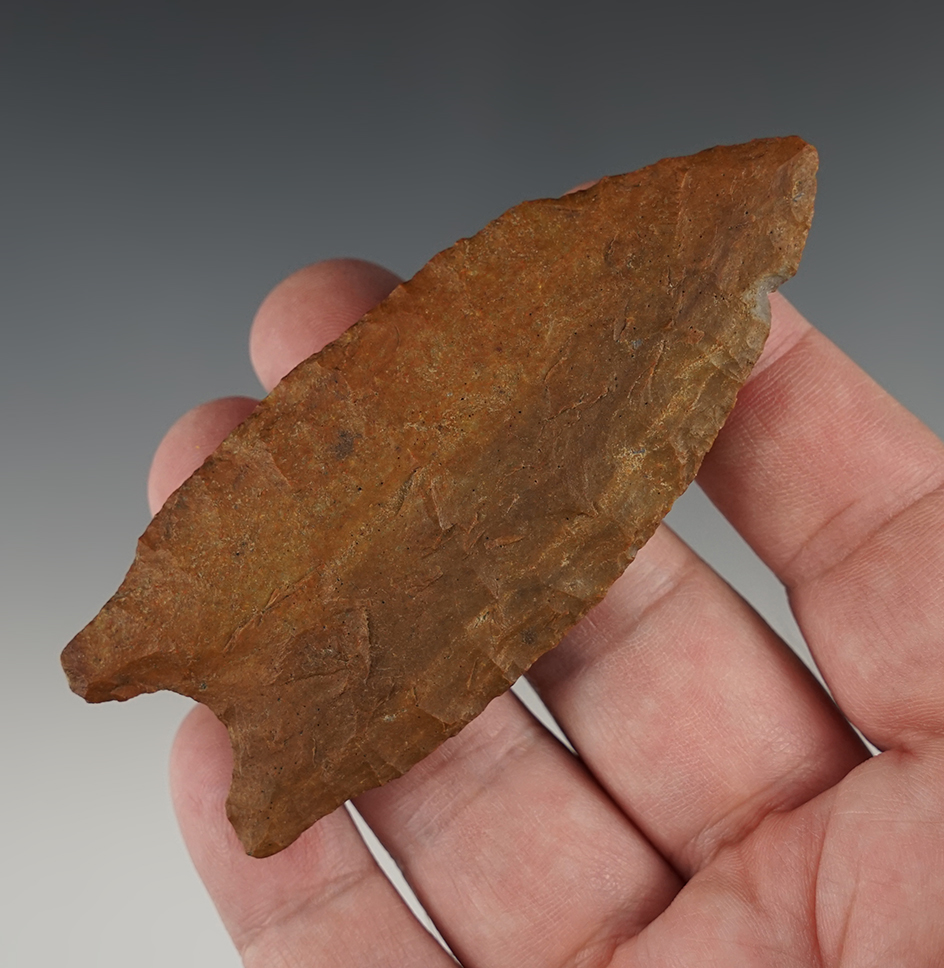 Well made 3 5/8" Holland point found near Little Rock, Arkansas. Comes with a Davis COA.