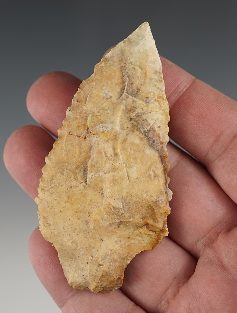 Colorful 3 1/4" Elora found in Dougherty Co., Georgia.