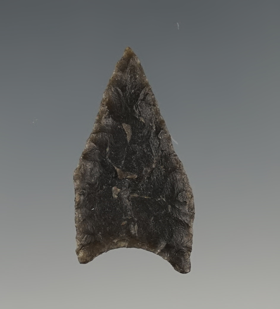 1 3/8" Thin and well made Pee Dee Pentagonal found in Virginia.