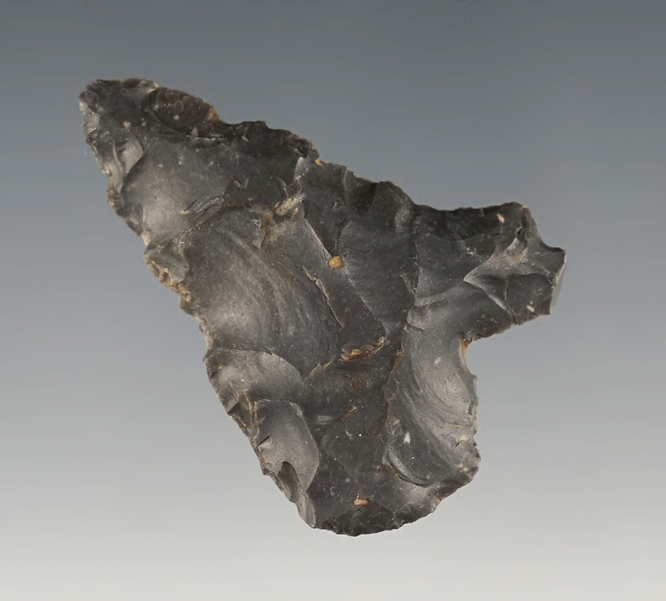 1 15/16" Tang Knife found in New Mexico.