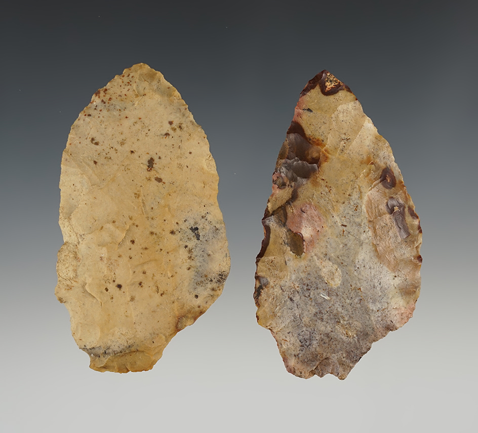 Pair of Cache Blades found in Worth Co., Georgia. The largest is 3".