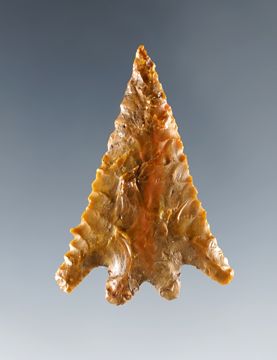 Exceptional flaking and style on this 1 5/8" Elko Split Stem - Nevada. Made from petrified wood.