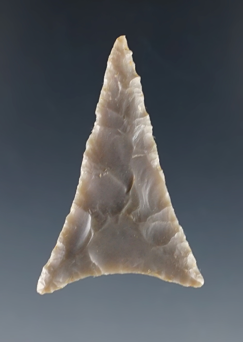 Thin and finely flaked 1 7/16" Triangle point found in the Kentucky/Tennessee area.