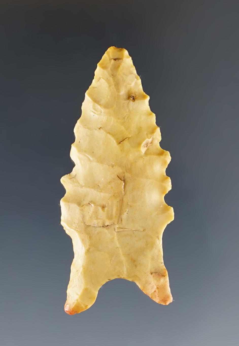 1 15/16" well patinated San Jose with excellent edge serrations. Recovered in New Mexico.