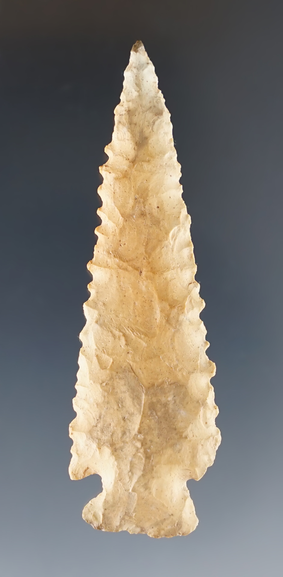 Highly serrated 2 9/16" Cornernotch Dart point recovered in Colorado.