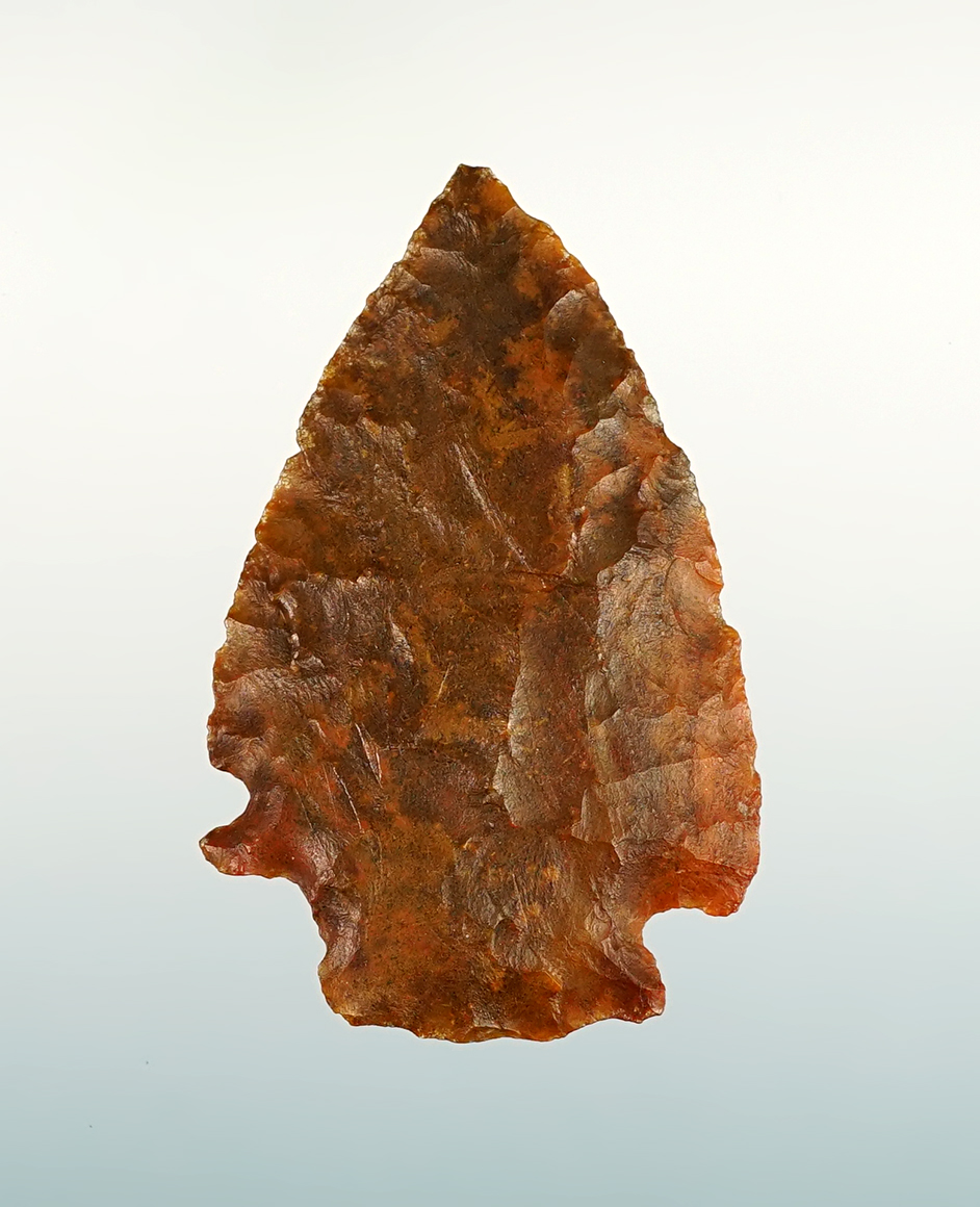 Excellent flaking on this 1 7/16" Petrified Wood Cornernotch - Colorado.