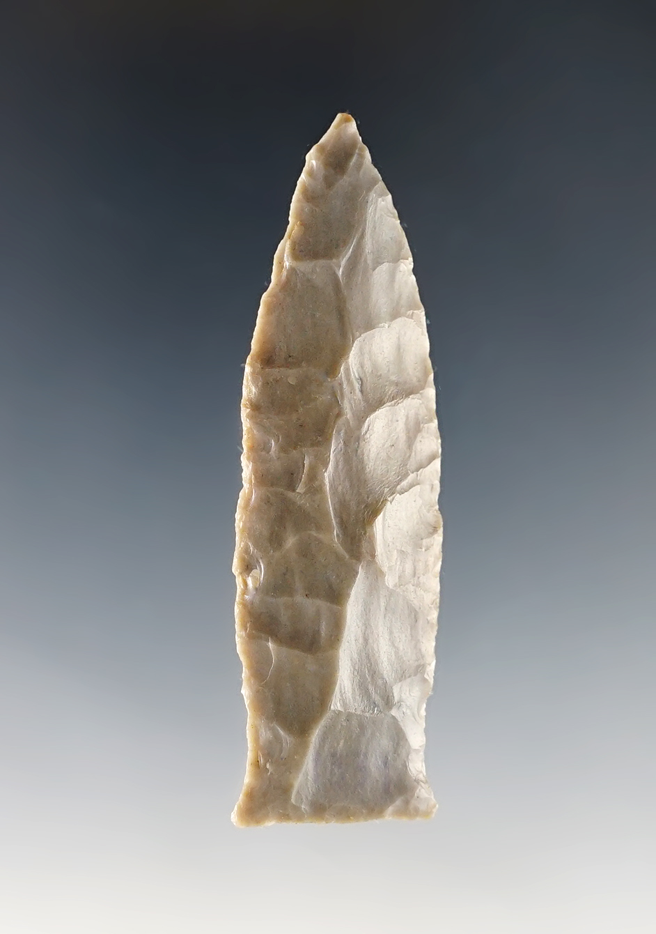 Fine 2 11/16" Beaver Lake - Estill Co., Kentucky. Ex. Walterspaugh, Tom Davis. Davis COA, G-8.