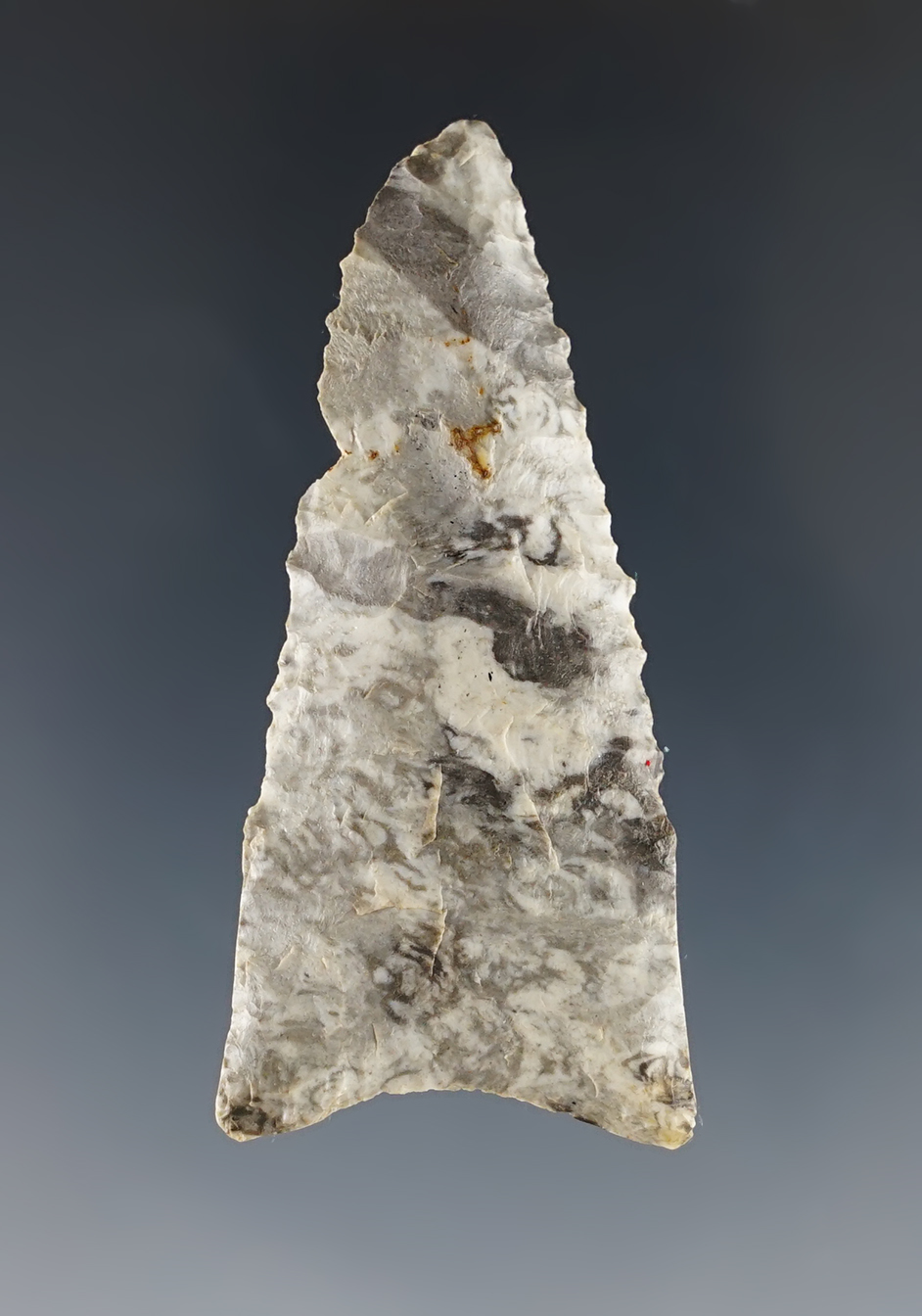 2 1/4" Dalton found in Yell Co., Arkansas. Made from high-grade Cream & Gray colored Flint.