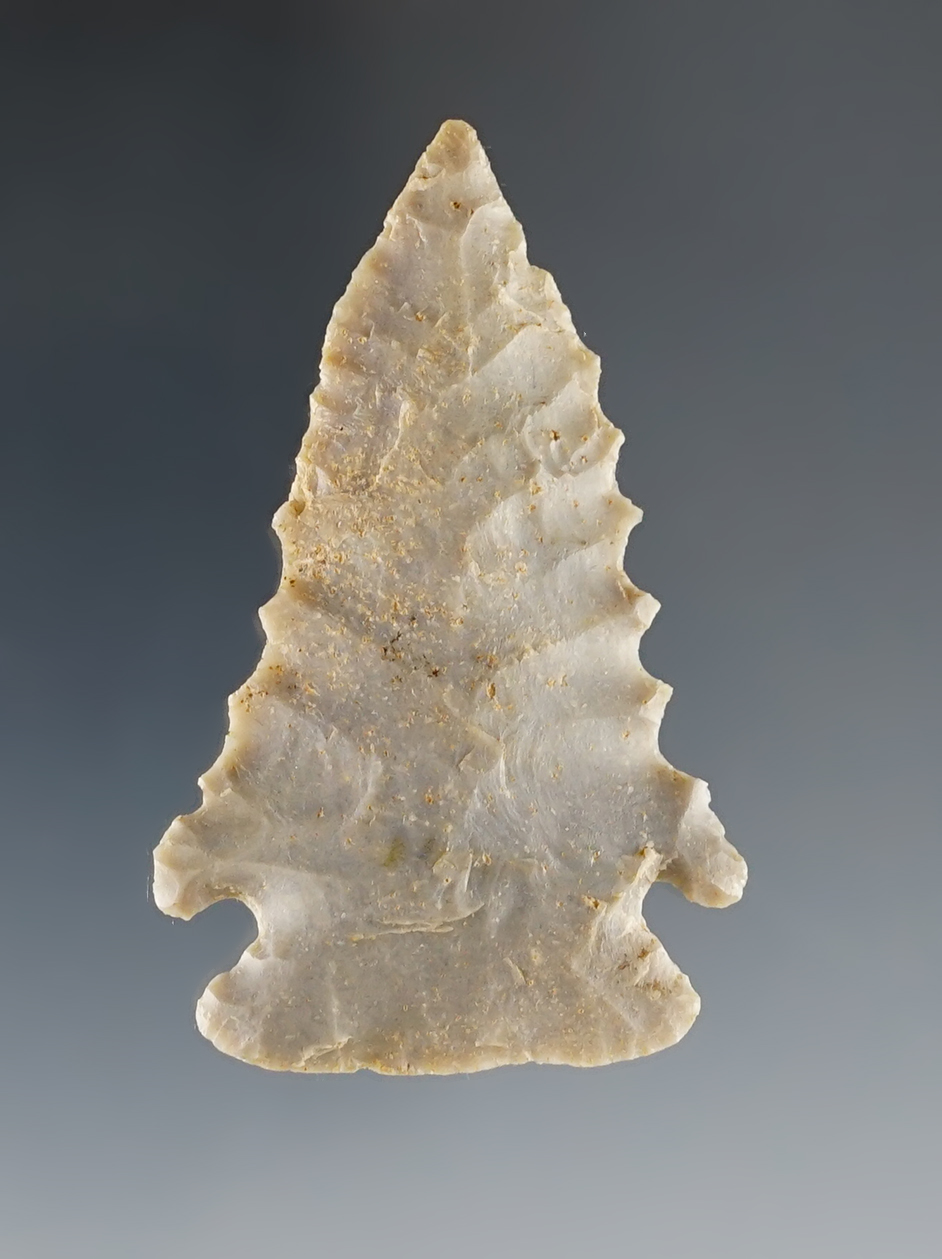 2 1/8" Serrated Pinetree in excellent condition. Found in Calloway Co., Kentucky.