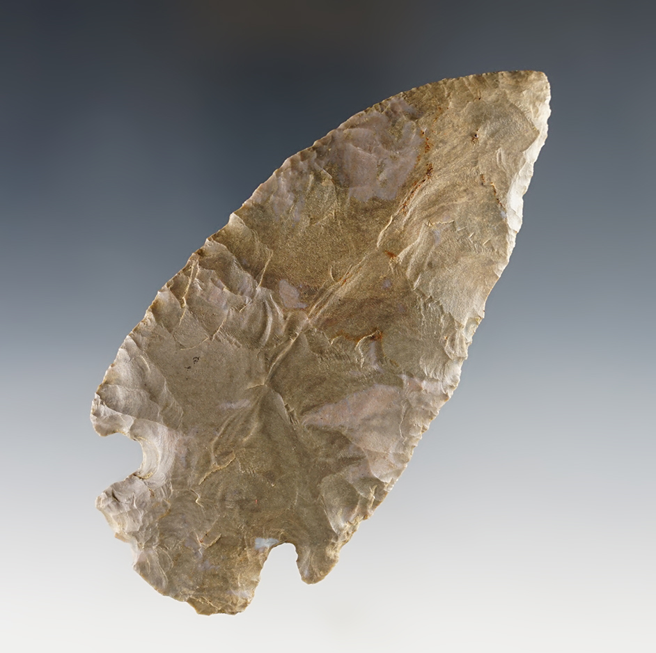 Nice 4 3/8" Grand Point found in Craighead Co., Arkansas. Comes with a Partain COA.