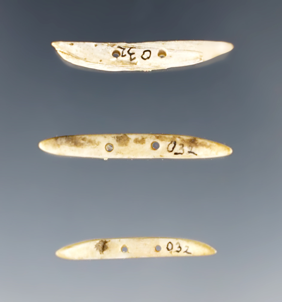 Set of 3 Double Perforated Shell Spacers found at the Townley-Read Site, Geneva, New York.