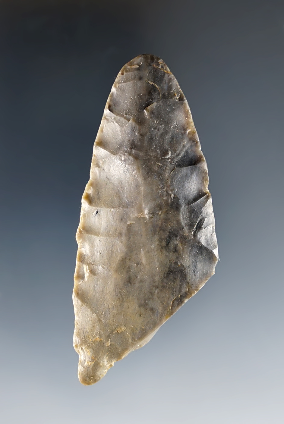 2 5/8" Fluted Paleo Clovis that was broken & anciently salvaged into a drill. Tuscarawas Co., Ohio.