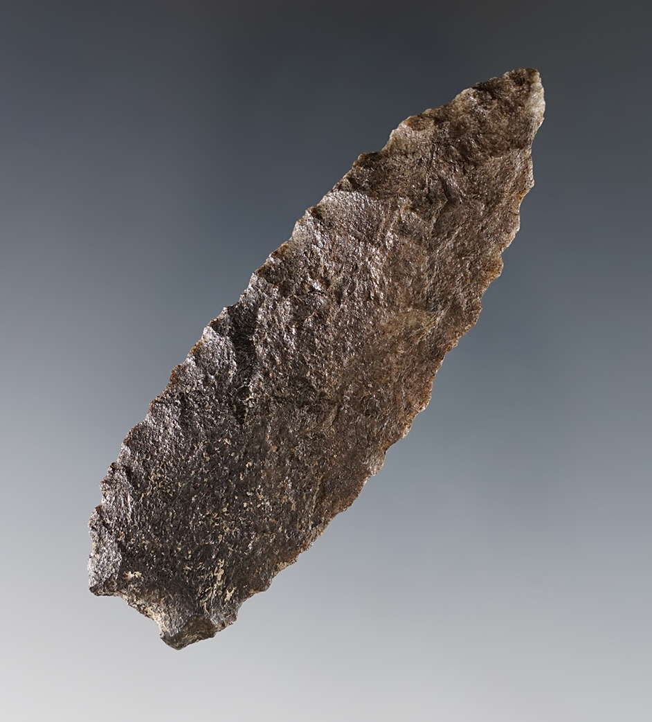 3" Angostura found in Colorado.