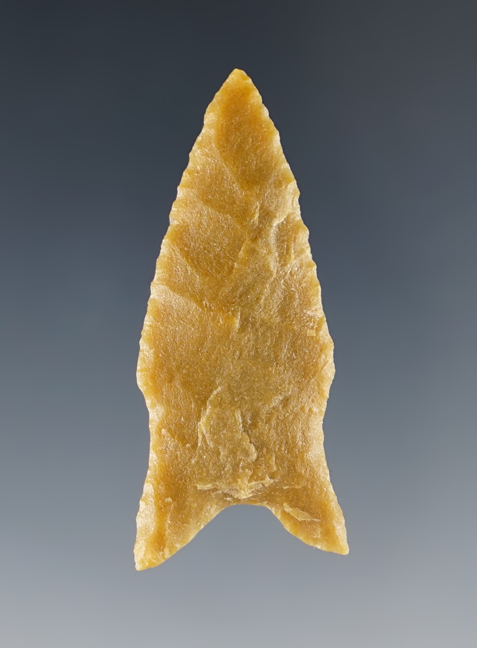 1 7/8" Lanceolate shaped point - Possibly a San Jose. Found in New Mexico.
