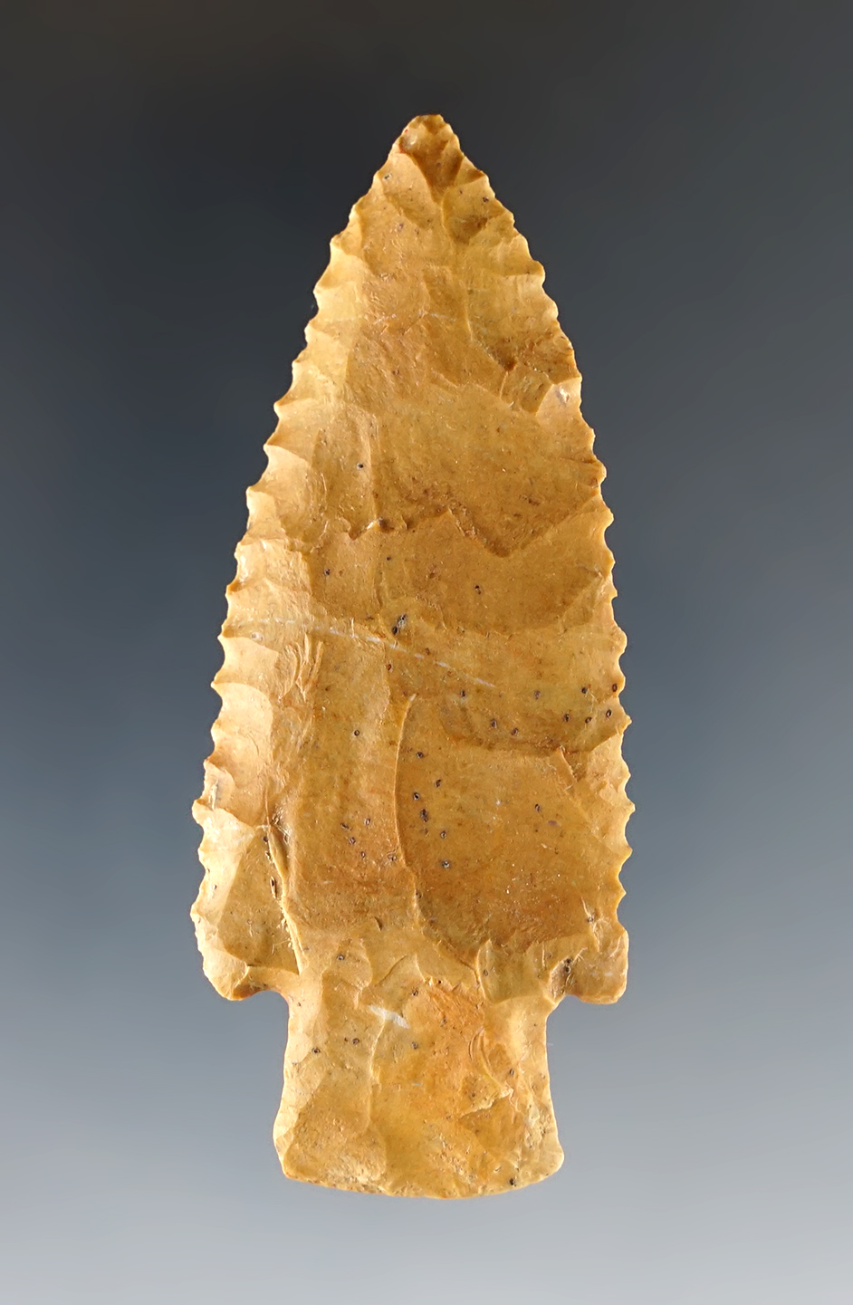 2 7/8" Hardin with excellent edge serrations found in Tennessee. 