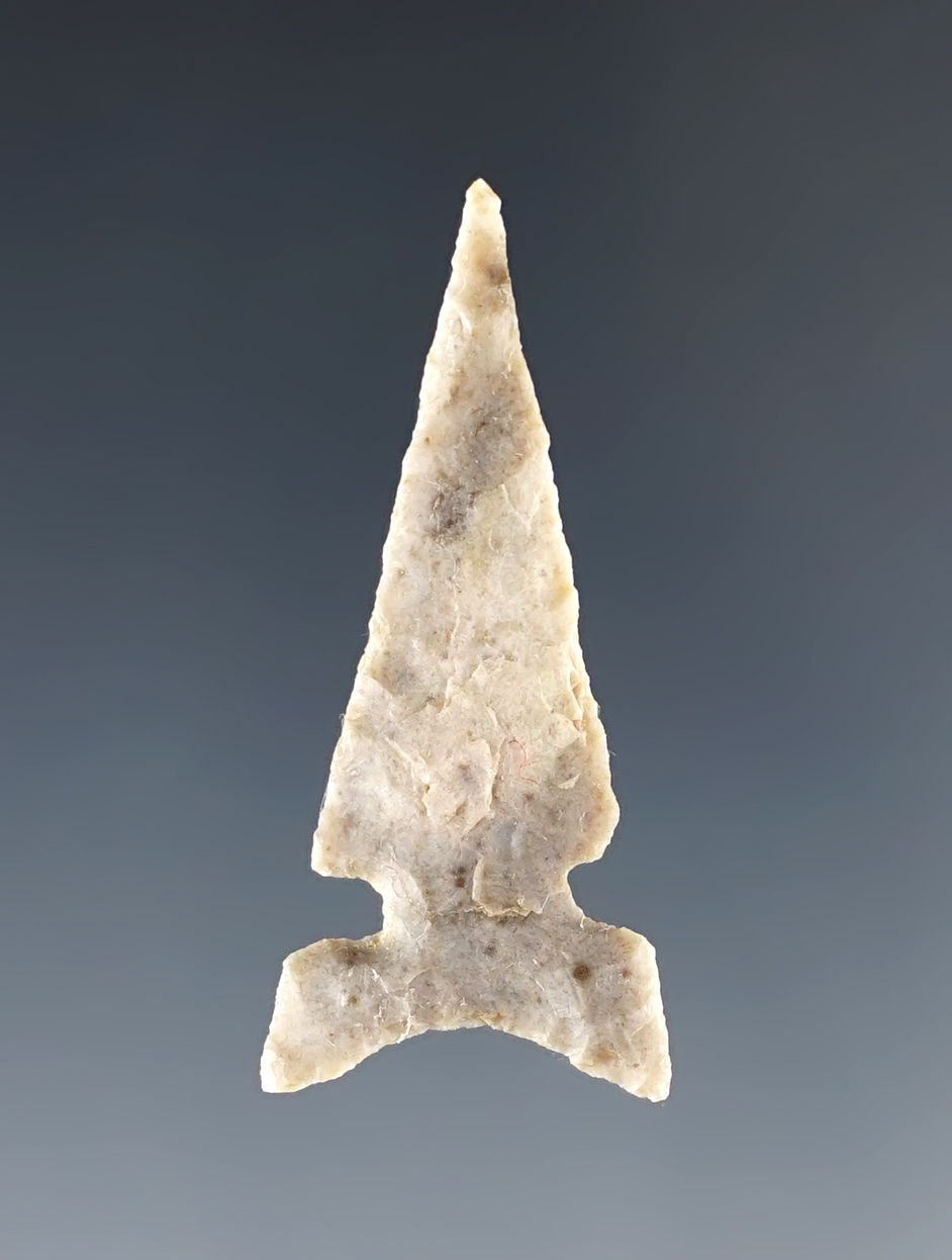 1 7/16" well flaked Sidenotch arrow point in perfect condition recovered in Kansas.