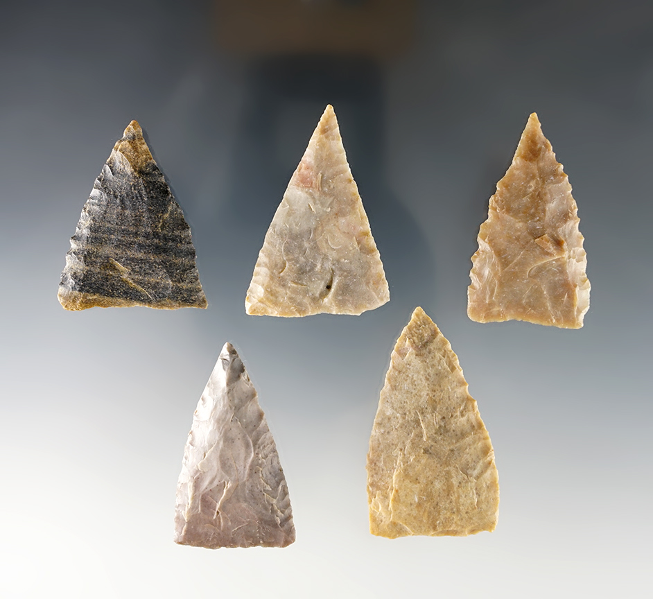 Set of 5 nice Texas Triangular points in good condition. The largest is 1 3/4".