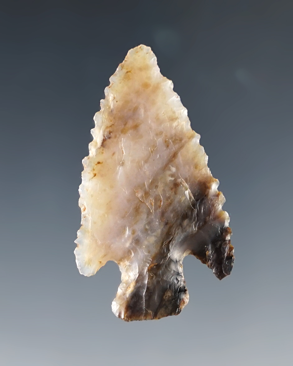 Finely serrated 1 9/16" Cornernotch made from high grade material. Found in New Mexico.