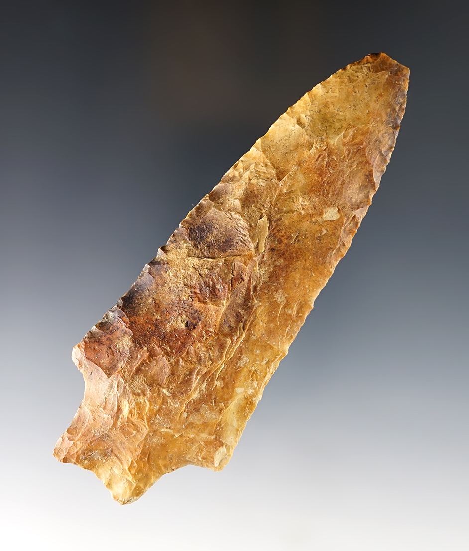 Large 4 7/8" river-stained Florida point. Minor tip ding but still displays well. 