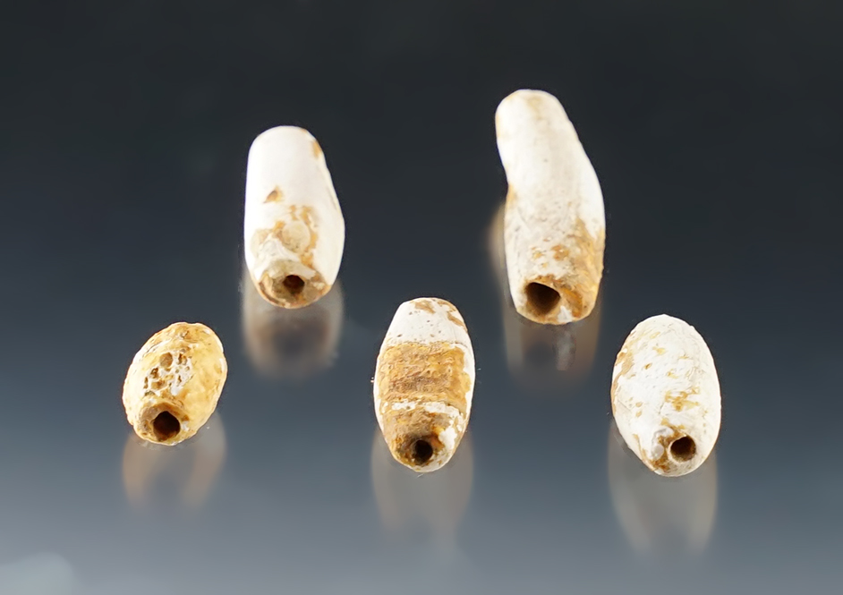Set of 5 Shell Barrel Beads found at the Dann Site in Lima, Monroe Co., New York. 