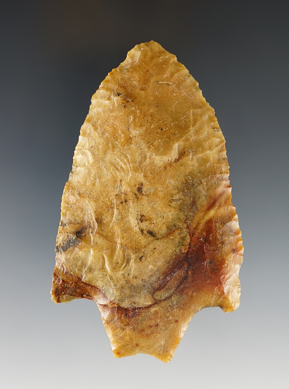 3 5/8" Savannah River made from colorful Coastal Plains Chert. Florida/Georgia. Bennett COA.