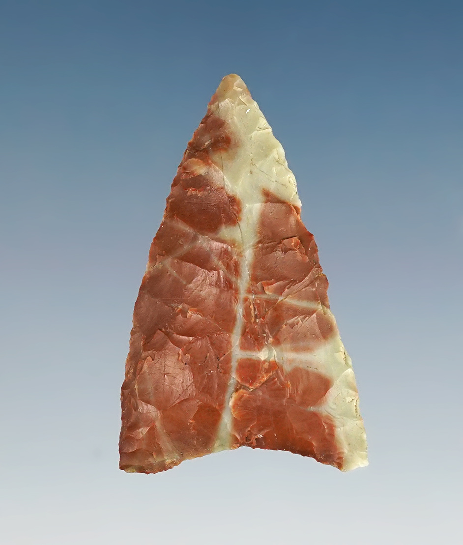 Beautiful material on this 1 1/2" Canalino Triangular. Found by Al. A. Allenson - California. COA. 