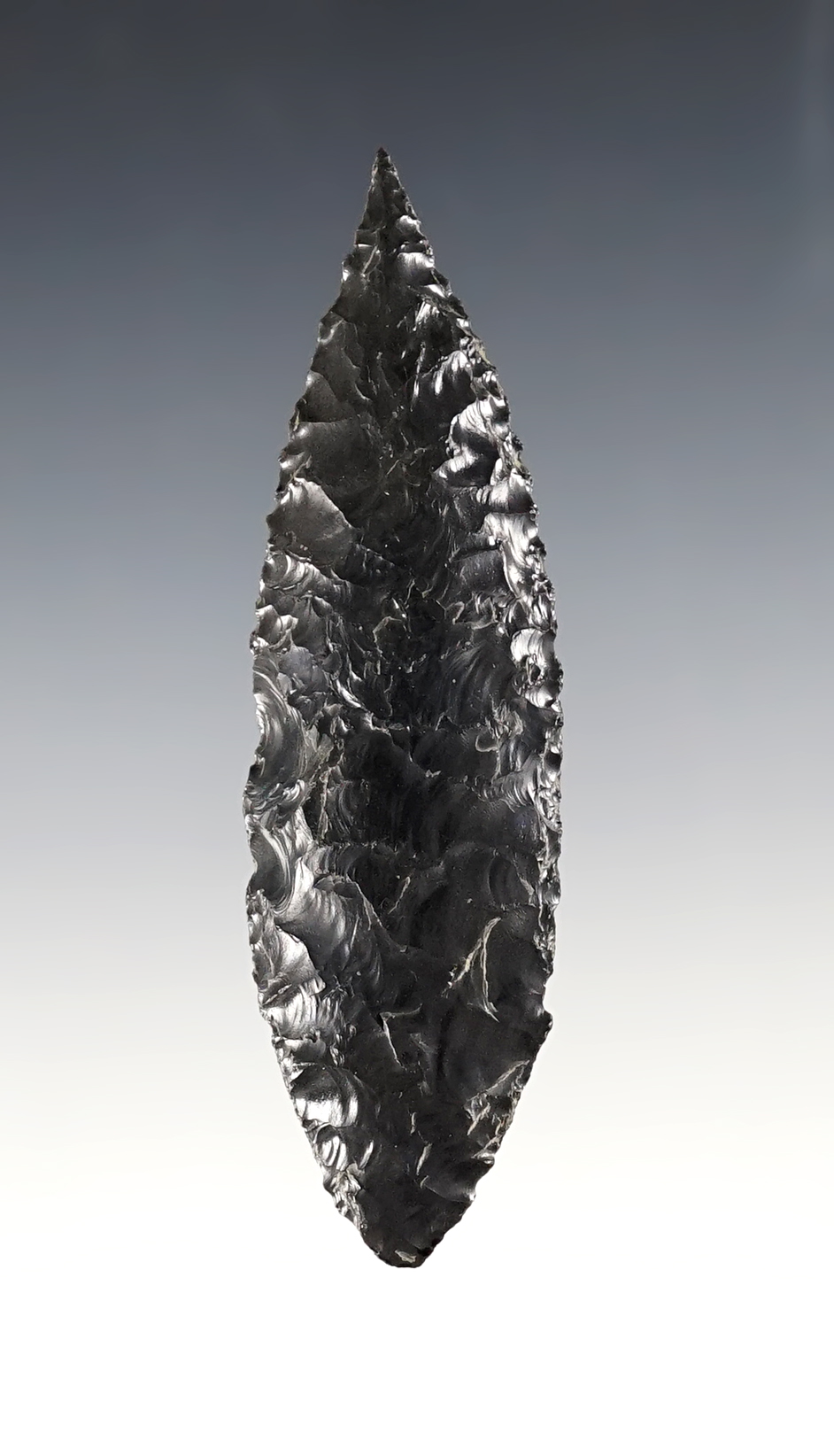 3 7/8" Cascade with an excellent tip. Lake Co., Oregon. Comes with a Stermer COA. 