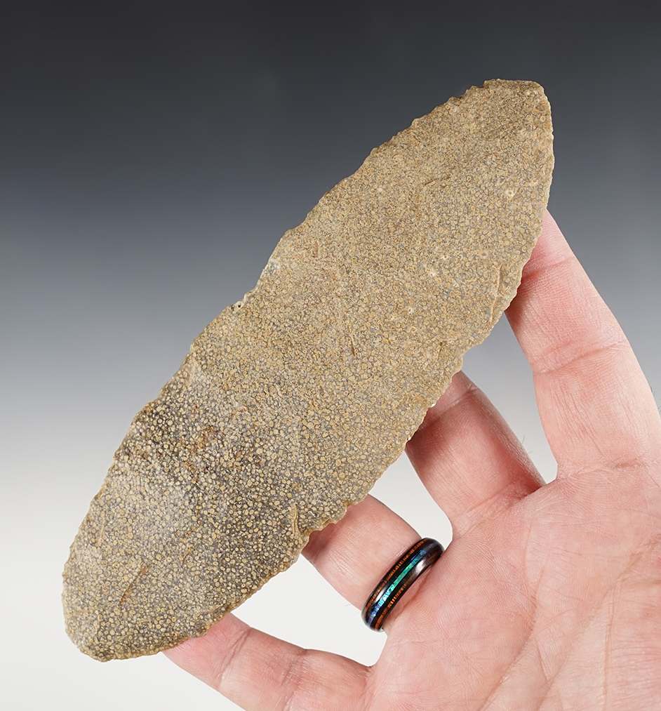 Large 6 9/16" Paleo Biface - Wyoming. Comes with a Stermer COA. 