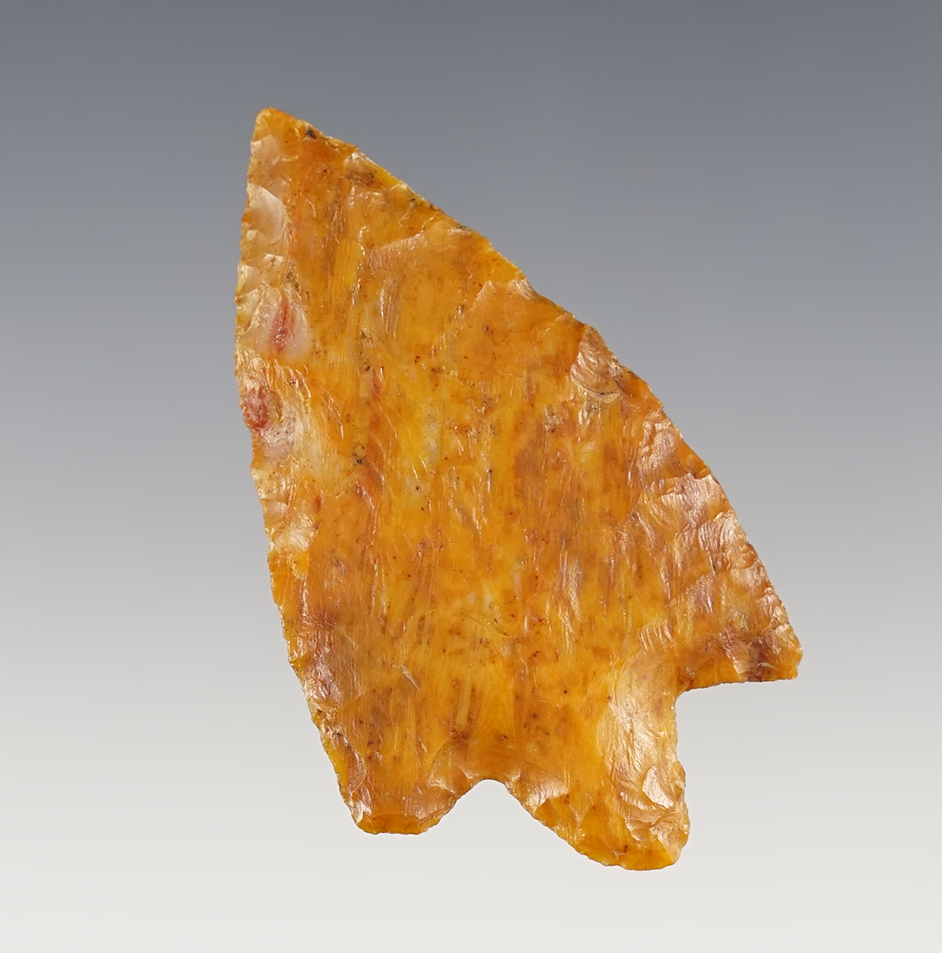 2 1/4" highly patinated Florida Newnan point made from beautifully patinated Coral.