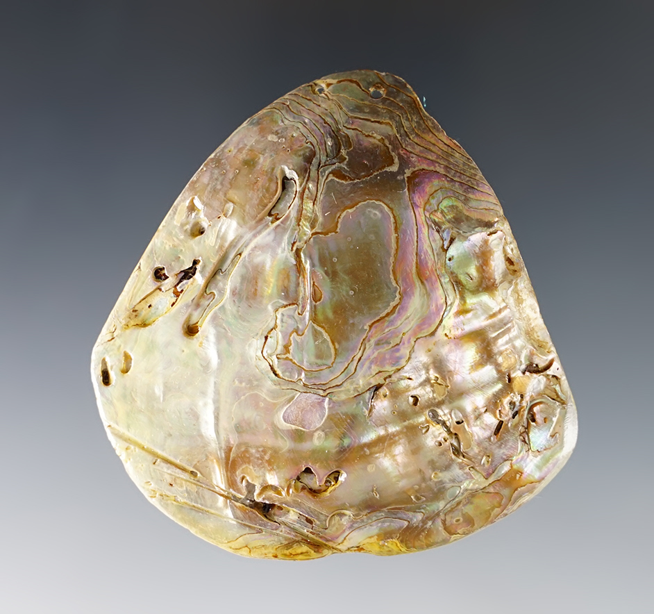 2 1/2" 2-Hole Abalone Shell Pendant found in Colusa Co., California.