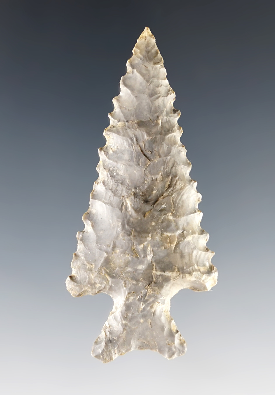 2 1/2" Uvalde point with excellent serrations recovered in Texas.