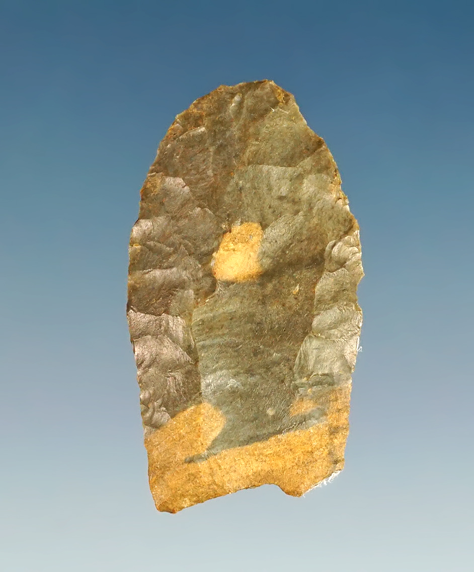 1 5/16" Paleo Clovis found in Kentucky. Made from dark gray chert. Comes with a Rogers COA.