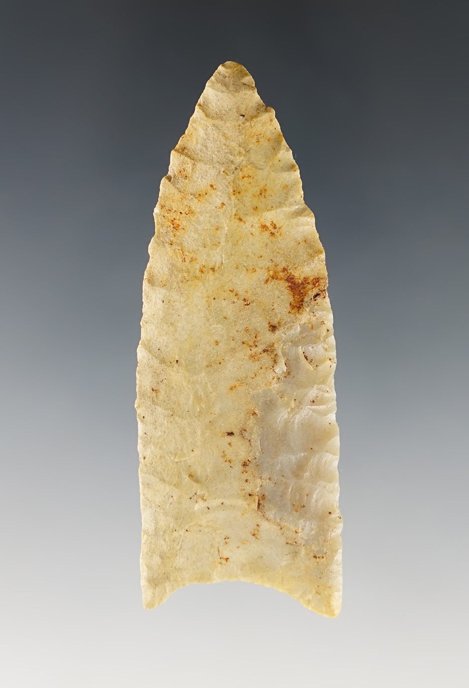 Superb! 2 15/16" Fluted Paleo Clovis that shows excellent age on surface. Found in Scott Co., KY.