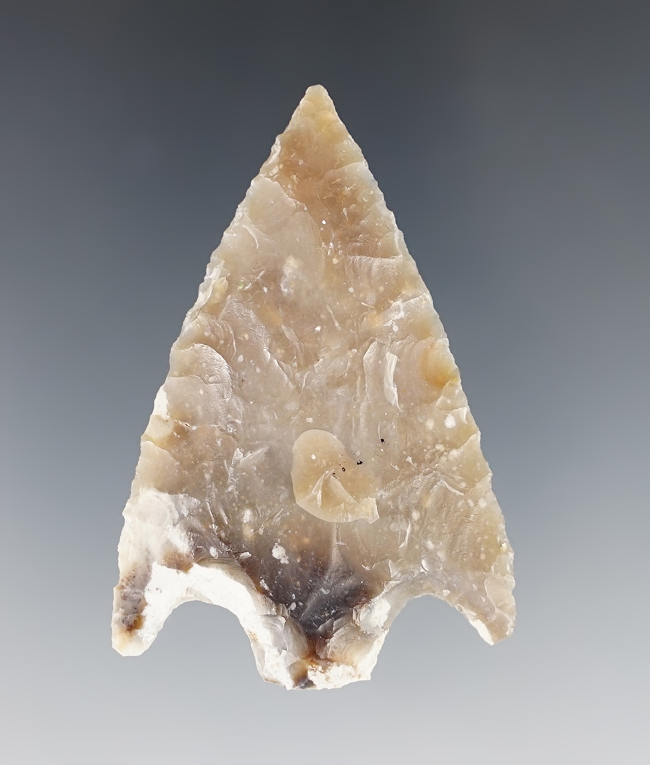 2 3/16" Point Sal Barbed - Monterey Chert. Found in Santa Barbara Co., California. Stermer COA. 