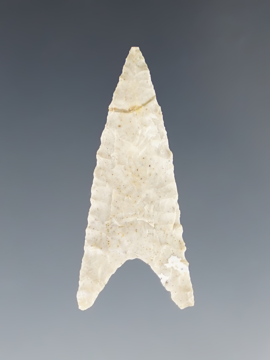 Beautiful material on this 1 7/16" Canalino Triangular made from Alesican Chert. Stermer COA. 