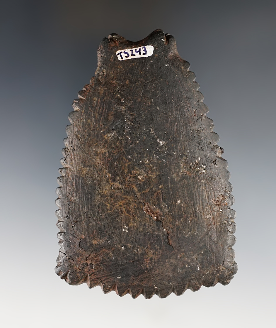 Highly unique! 3 3/4" Bat Effigy Paint Pallet found in Arizona.