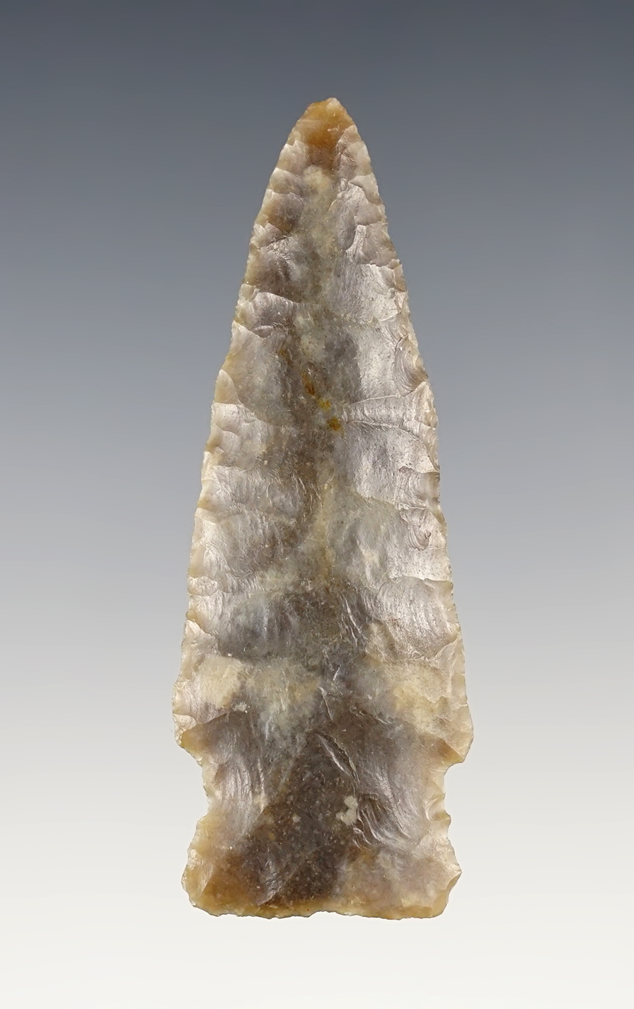 Outstanding 2 11/16" Scottsbluff made from Edwards Plateau. Comanche Co., Texas.2 COA's.