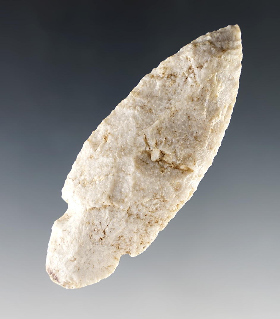 3 1/4" Turkey tail recovered in Kentucky made from fossil Flint.