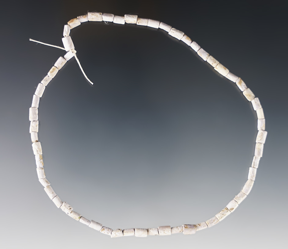 12" purple & white Shell Beads found at the Dann Site, Lima, Monroe Co., New York, Circa 1655-1675.