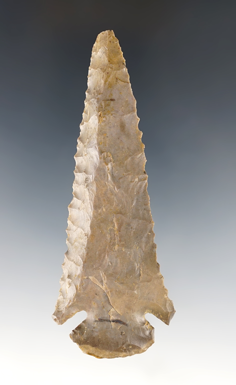 3 13/16" Steeply Beveled Dovetail found in Kentucky. Outstanding edge work and finely serrated.