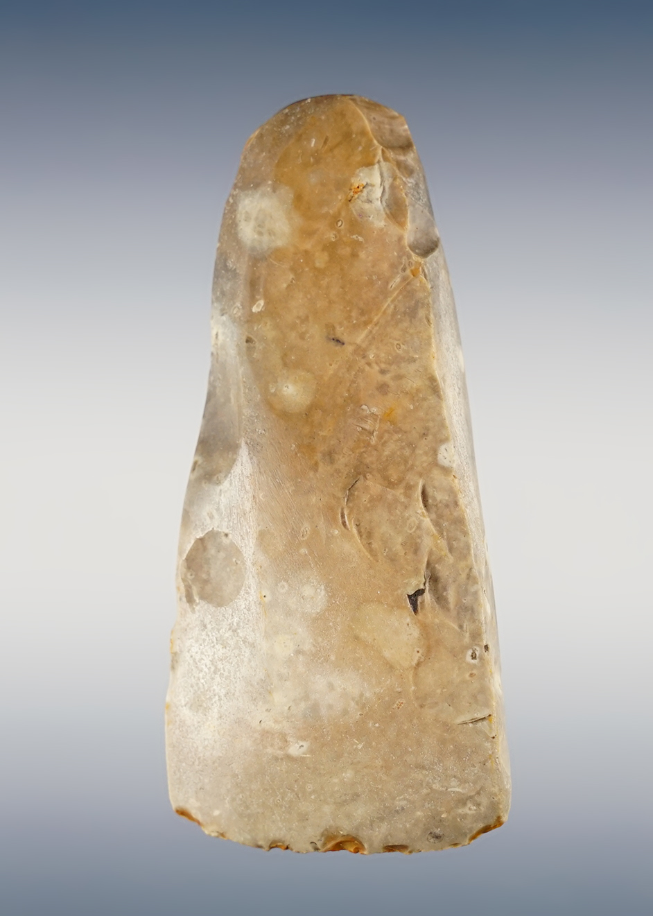 3 3/4" Danish Celt found in Denmark. Made from multi-colored flint. Comes with a Dickey COA.